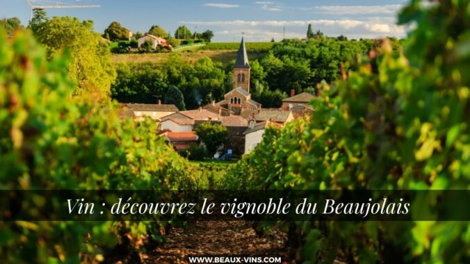 Beaux-Vins vignoble vin beaujolais