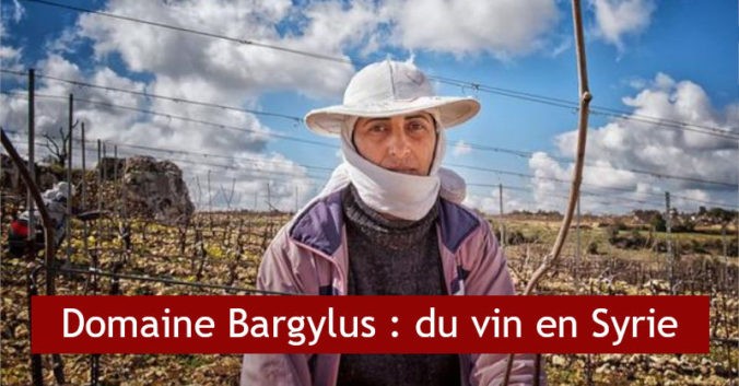 blog fine wines wine syria bargylus