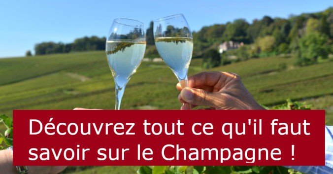 Blog vin beaux-vins oenologie dégustation Champagne vignoble viticole vins