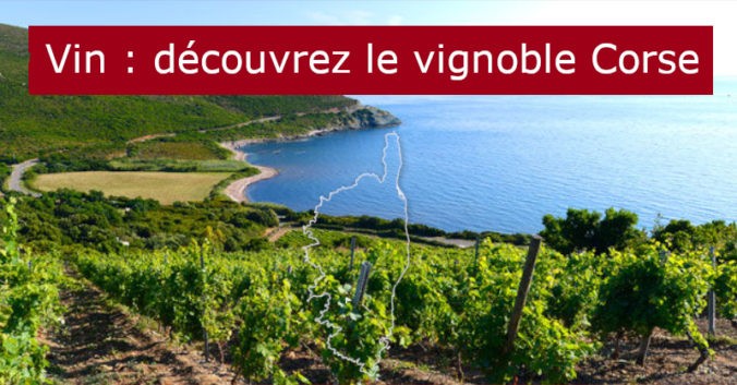 Blog Beaux-Vins vignoble vigne viticulture Corse