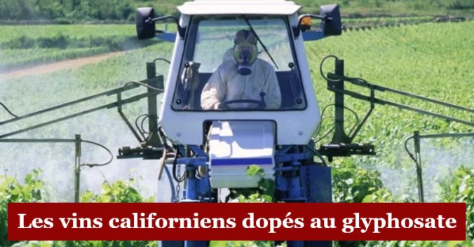 Blog vin Beaux-Vins ordre dégustation vins oenologie vignoble californie glyphosate