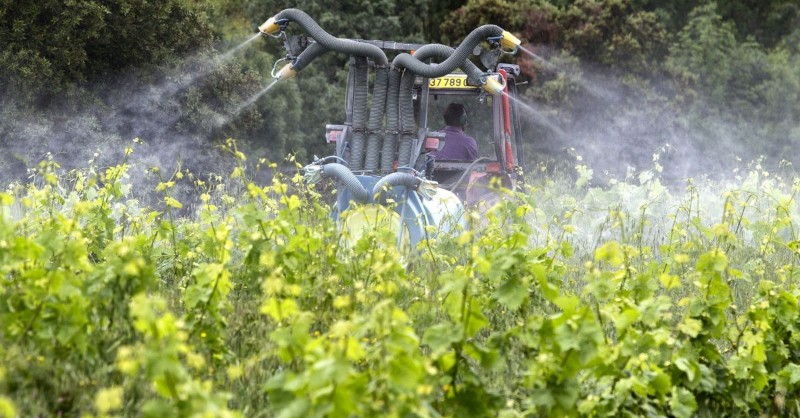 Blog vin Beaux-Vins ordre dégustation vins oenologie vignoble californie glyphosate pesticide