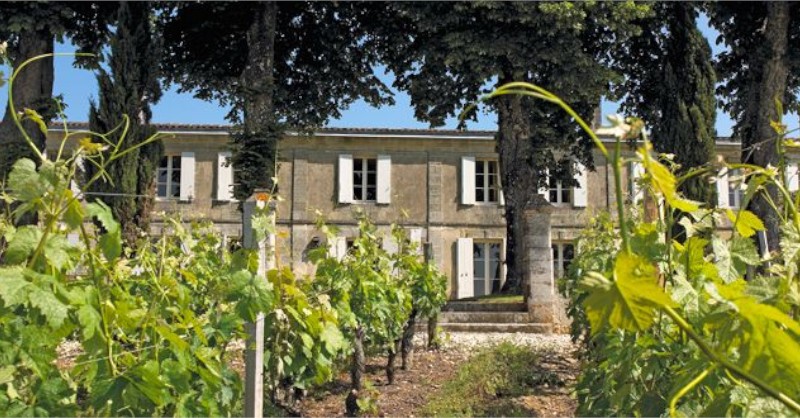 blog vin Beaux-Vins oenologie dégustation vin Jack Ma vignoble Bordeaux Château de Guerry