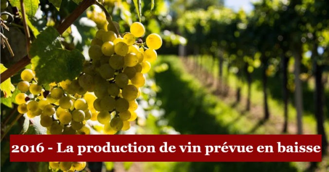 blog vin beaux-vins production vin 2016 baisse menu