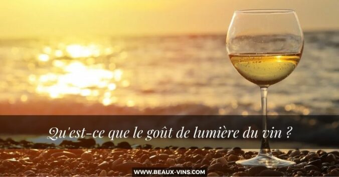 Quest ce que le gout de lumiere du vin