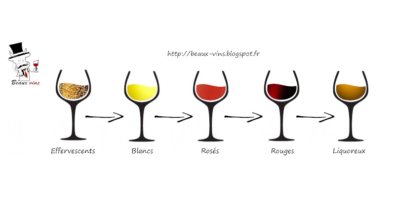 wine blog Fine wines tasting oenology order