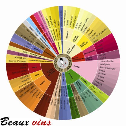 wine blog Fine wines oenology tasting aroma wheel