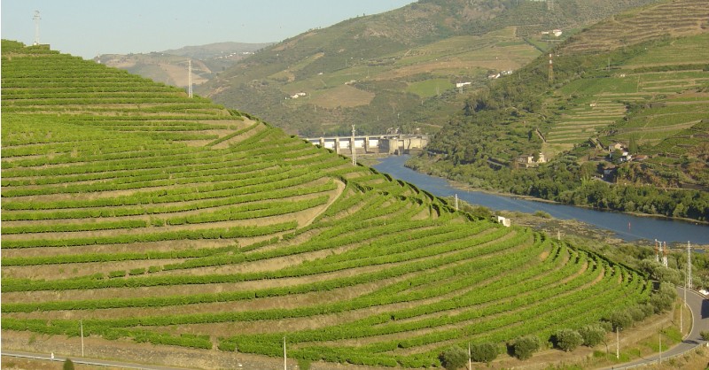 blog vin Beaux-Vins oenologie dégustation vignes douro porto