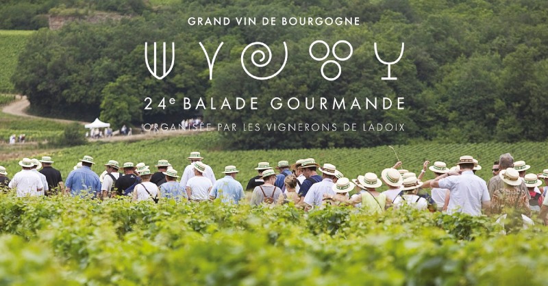 Blog Vin Beaux-VIns oenology tasting gourmet walk ladoix