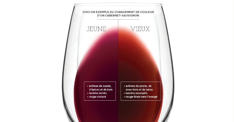 wine blog Fine wines learn visual young old taste tasting wines