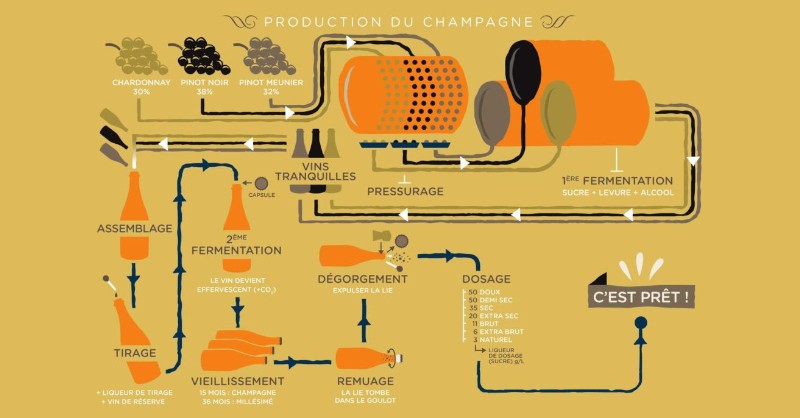 Blog vin beaux-vins oenologie dégustation vins étapes production Champagne vignoble viticole