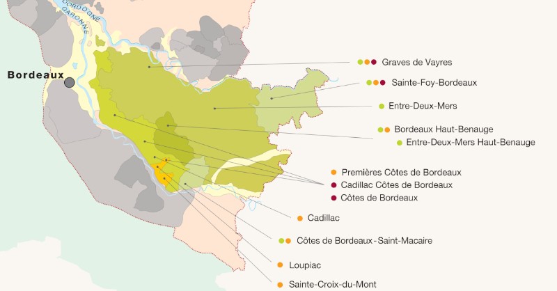 blog vin Beaux-Vins oenologie dégustation vins vignoble Bordeaux Entre-deux-Mers