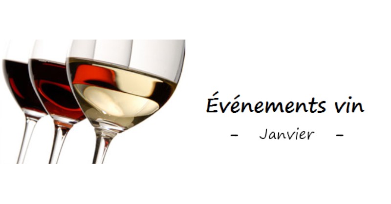 Wine blog Fine wines oenology tasting events January outing