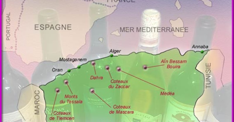 blog vin beaux-vins vignoble algérie