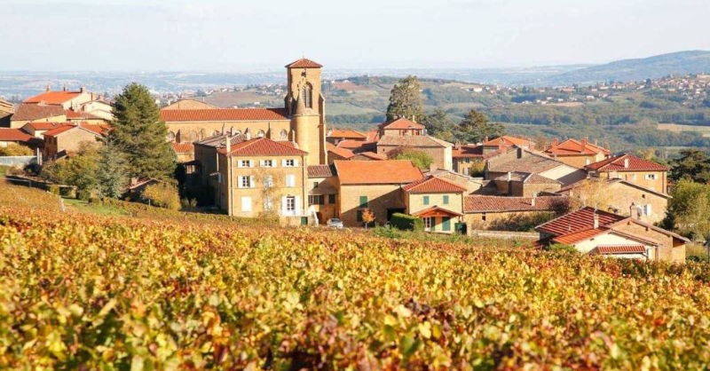 Discover Beaujolais vineyards deconfinement lyon