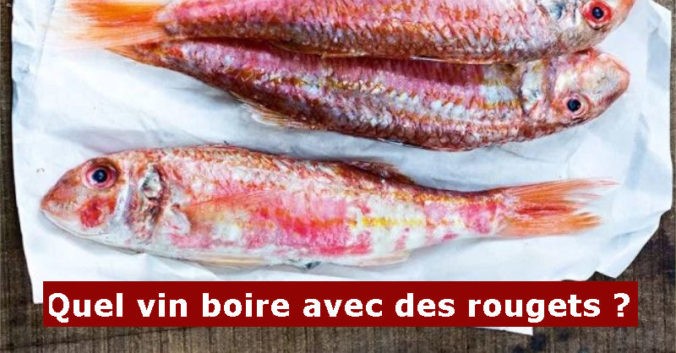 blog beaux-vins accord mets vin rougets poisson