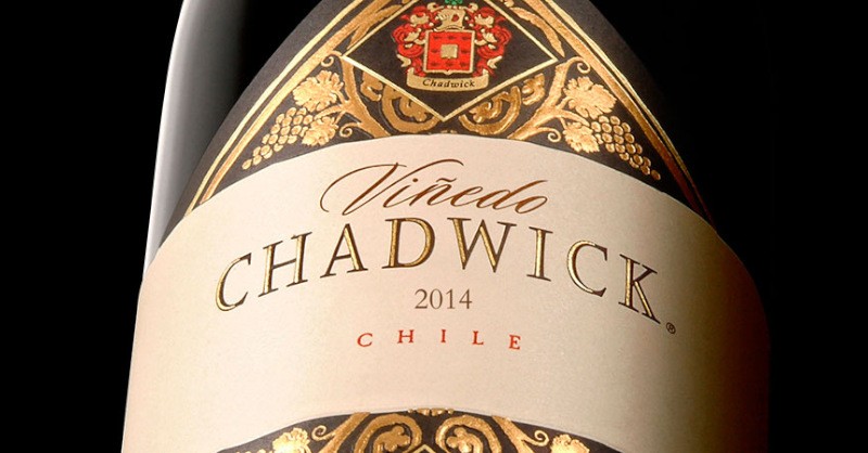 blog fine wines chilean chilean wine Viñedo Chadwick 2014