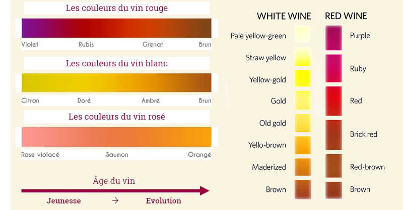 blog Beaux-Vins colors wine red white wine colors