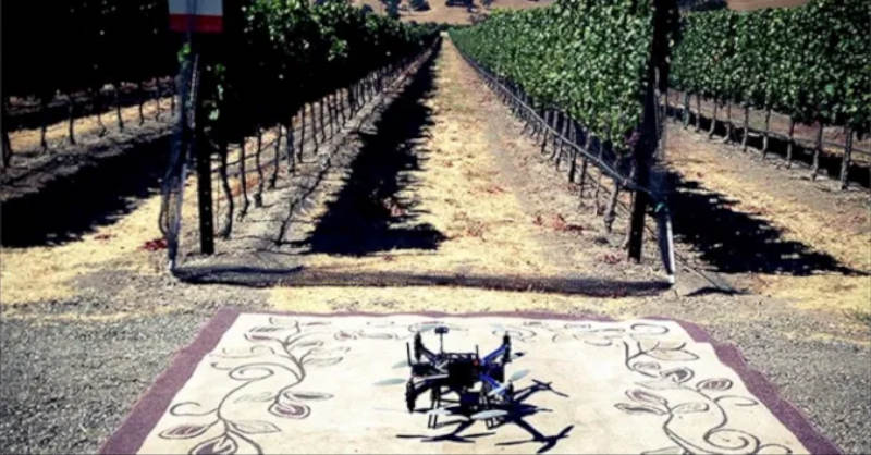 Beauxvins wine blog viticulture drone