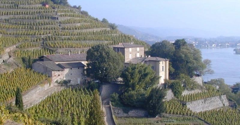 Chateau Grillet