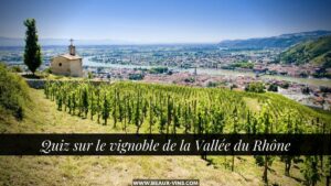 Quiz on the Rhone Valley vineyard