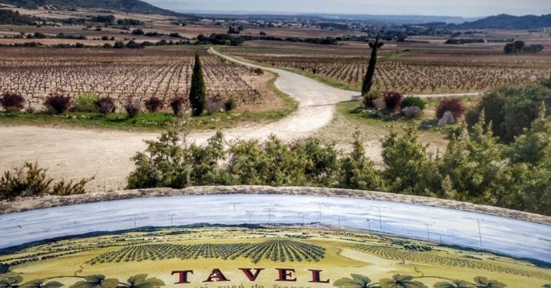 tavel vignoble